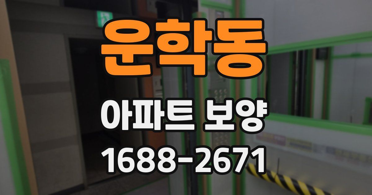 운학동 아파트 보양