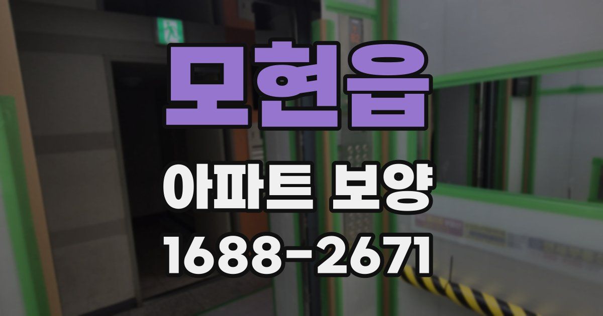 모현읍 아파트 보양