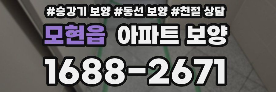 모현읍 아파트 보양