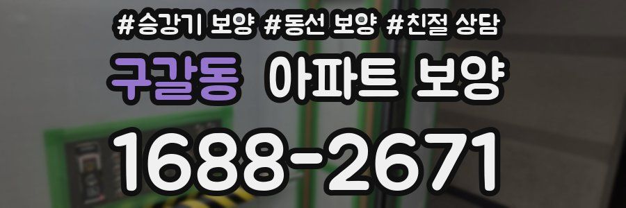 구갈동 아파트 보양