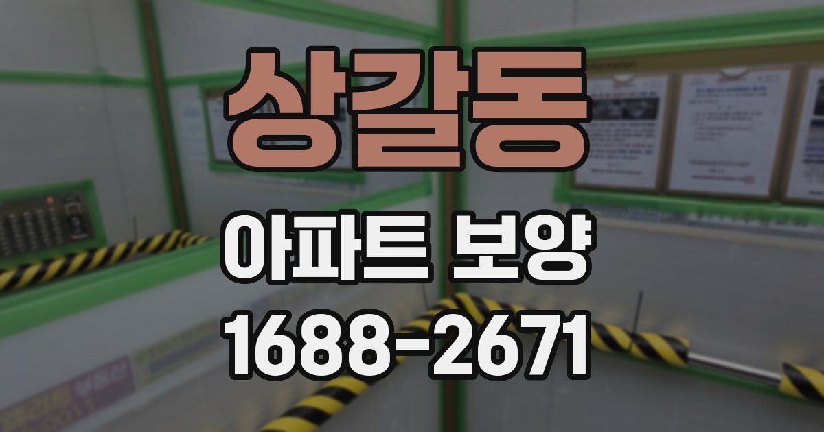 상갈동 아파트 보양