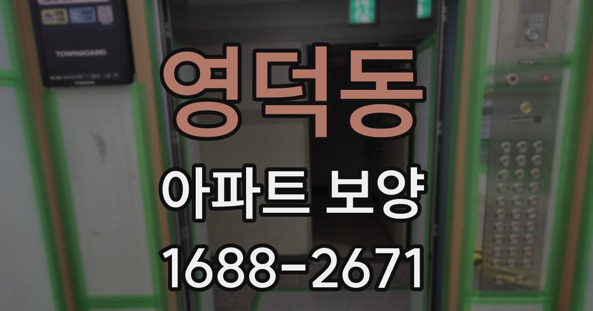 영덕동 아파트 보양