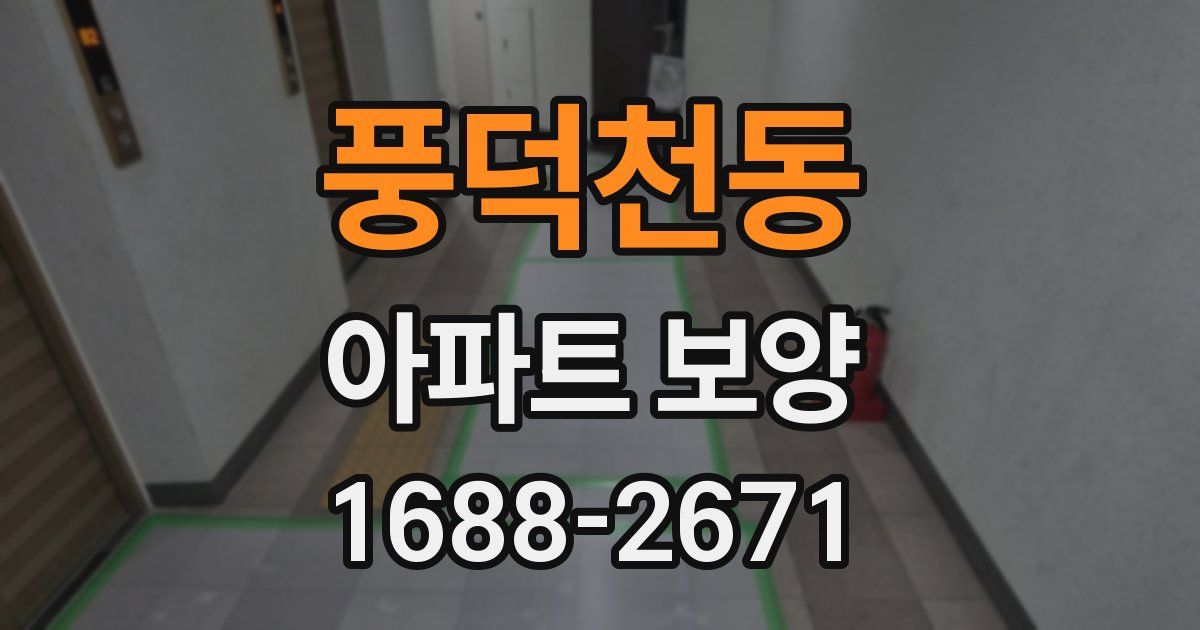 풍덕천동 아파트 보양