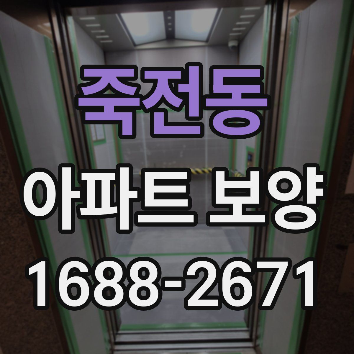 죽전동 아파트 보양