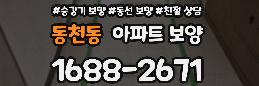 동천동 아파트 보양