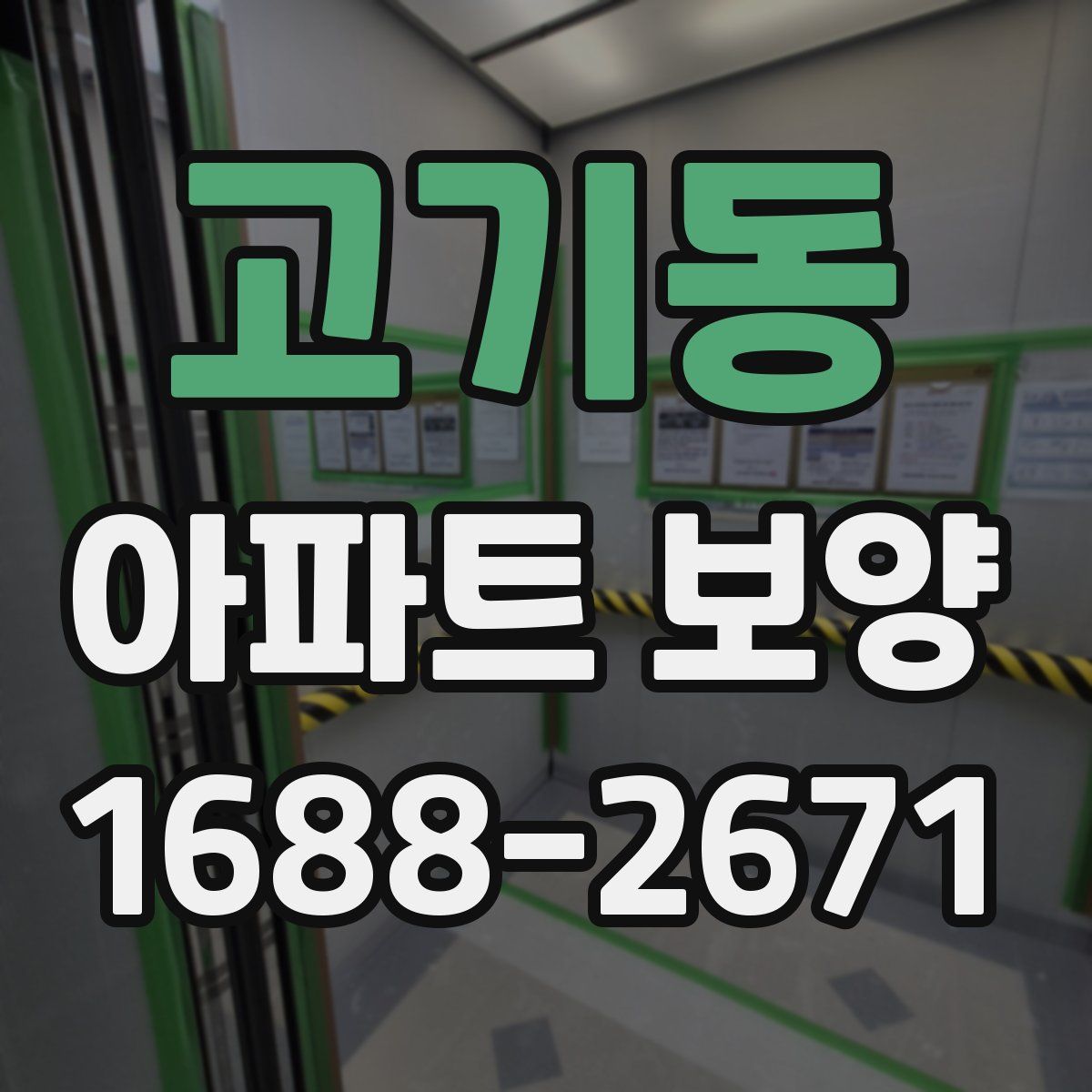 고기동 아파트 보양