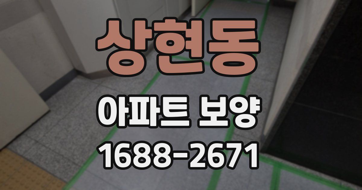 상현동 아파트 보양
