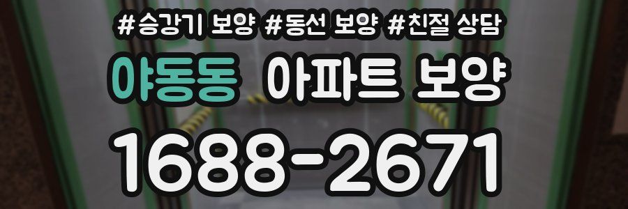 야동동 아파트 보양