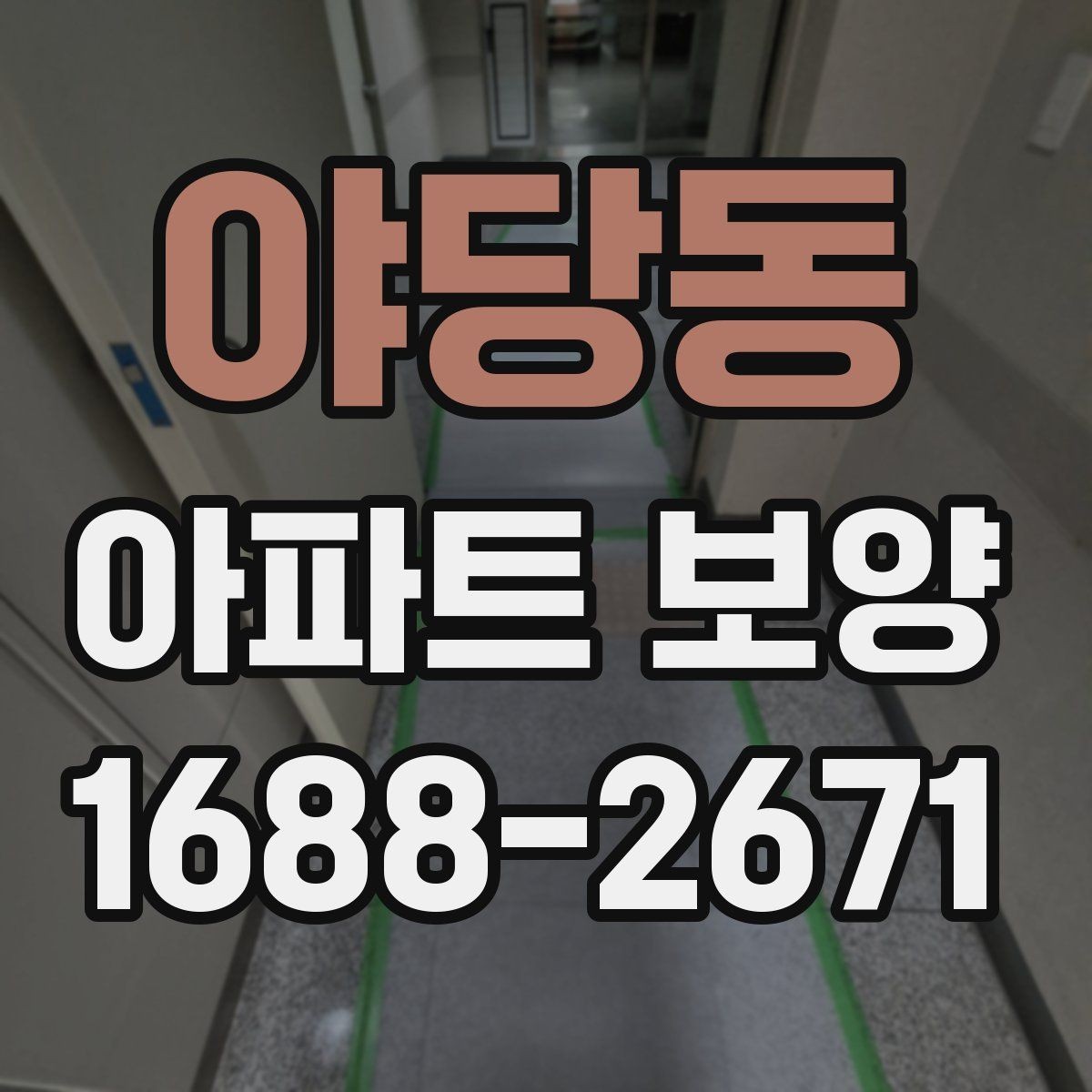 야당동 아파트 보양 공사 전 꼭 확인할 점