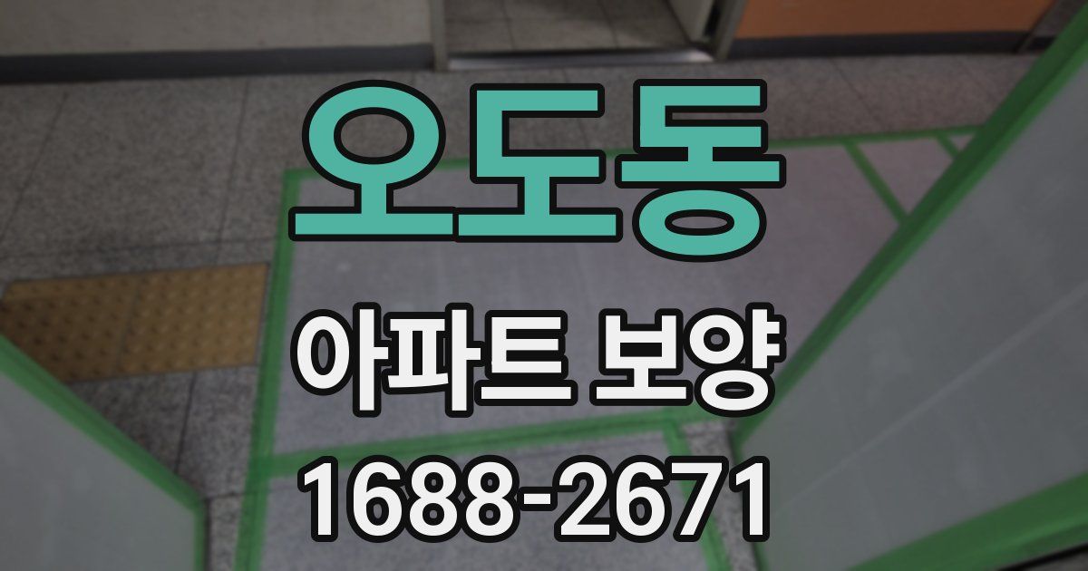 오도동 아파트 보양