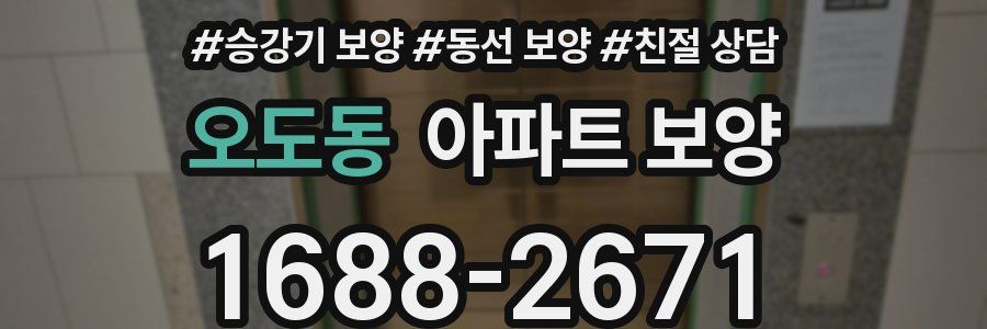 오도동 아파트 보양