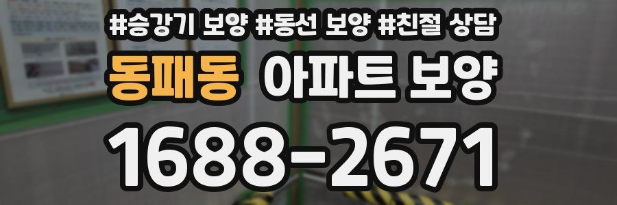 동패동 아파트 보양