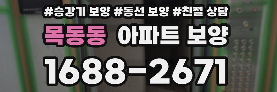 목동동 아파트 보양
