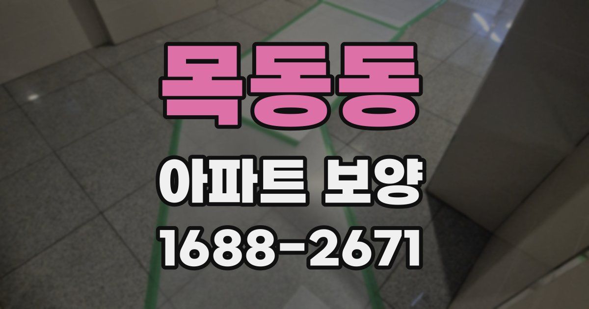 목동동 아파트 보양