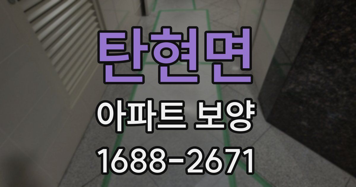 탄현면 아파트 보양