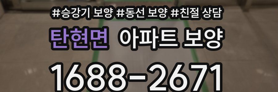 탄현면 아파트 보양