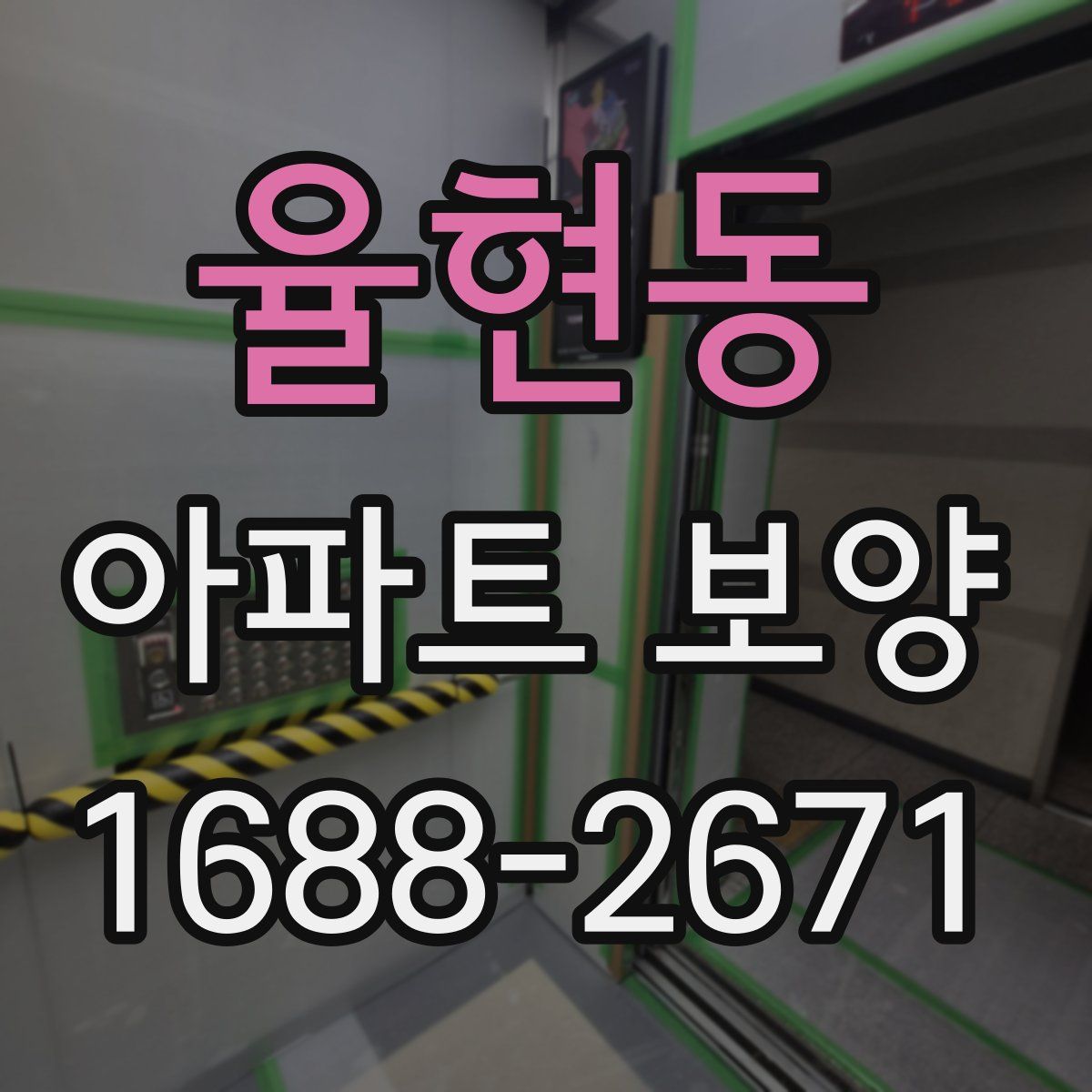율현동 아파트 보양