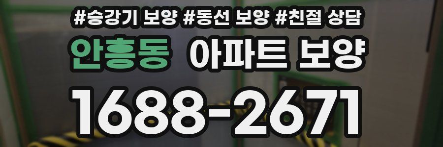 안흥동 아파트 보양