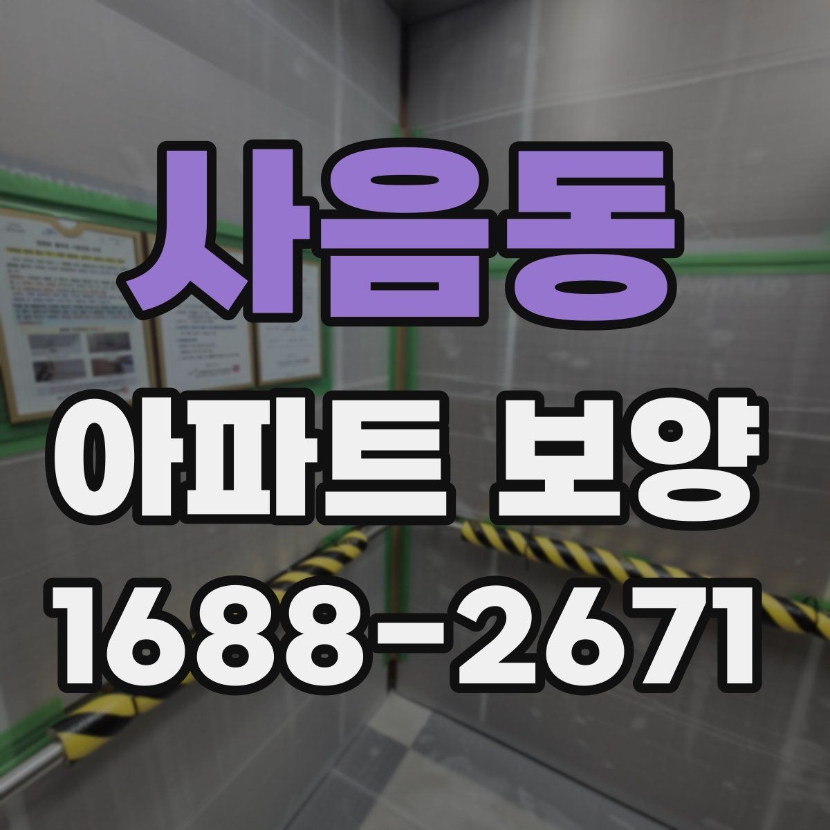 사음동 아파트 보양 시공 전에 확인하는 공간별 차이