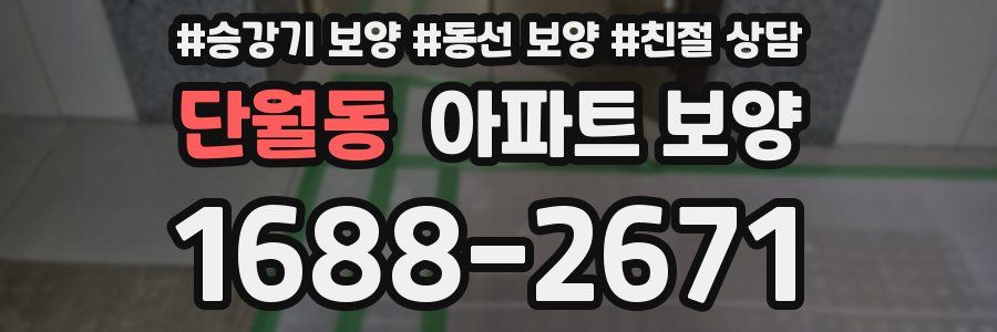 단월동 아파트 보양