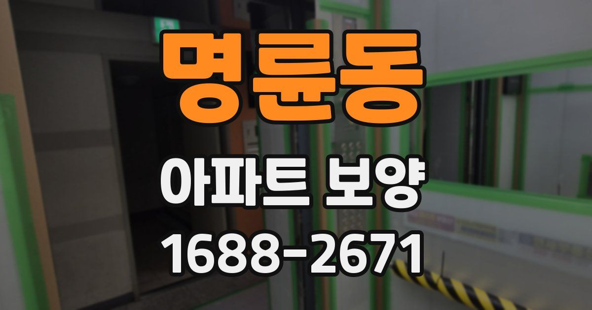 명륜동 아파트 보양