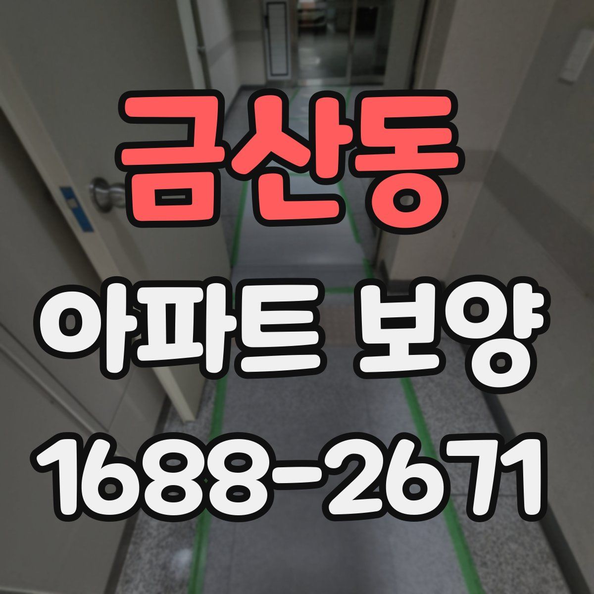 금산동 아파트 보양