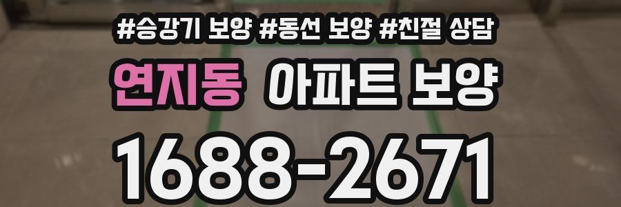 연지동 아파트 보양