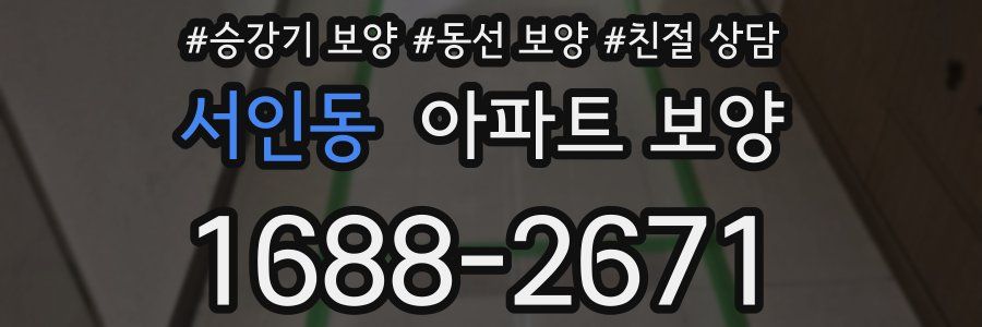 서인동 아파트 보양