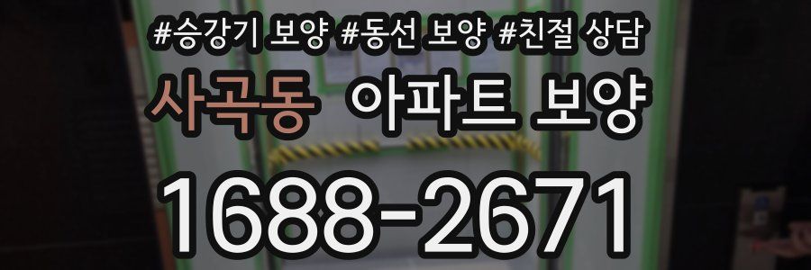 사곡동 아파트 보양