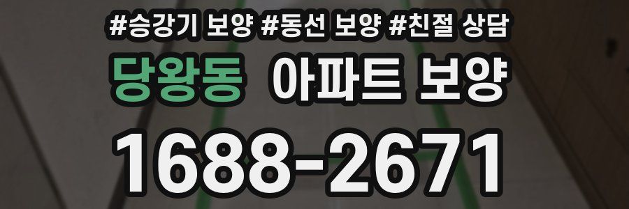 당왕동 아파트 보양