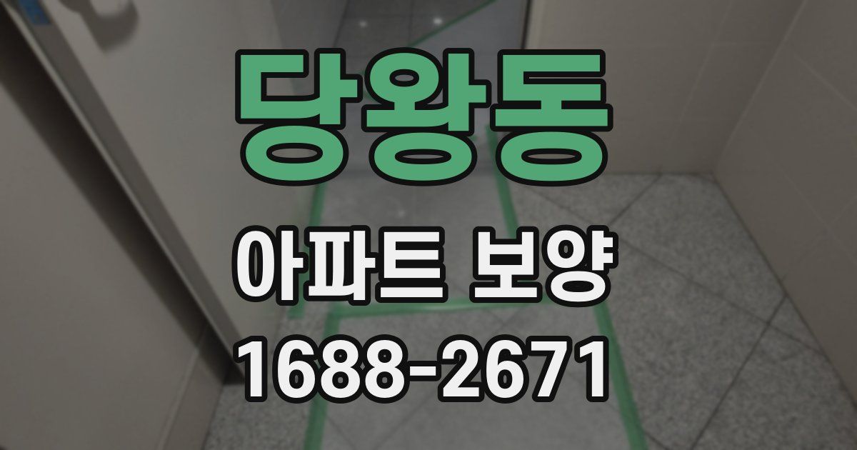 당왕동 아파트 보양