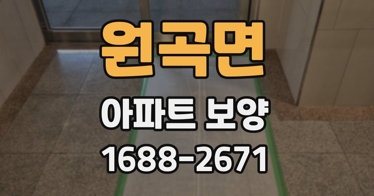 원곡면 아파트 보양