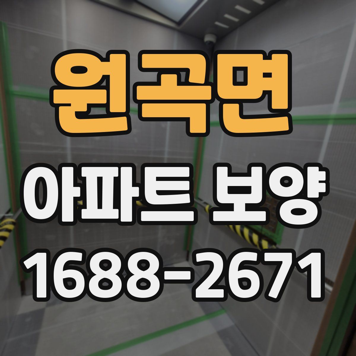 원곡면 아파트 보양