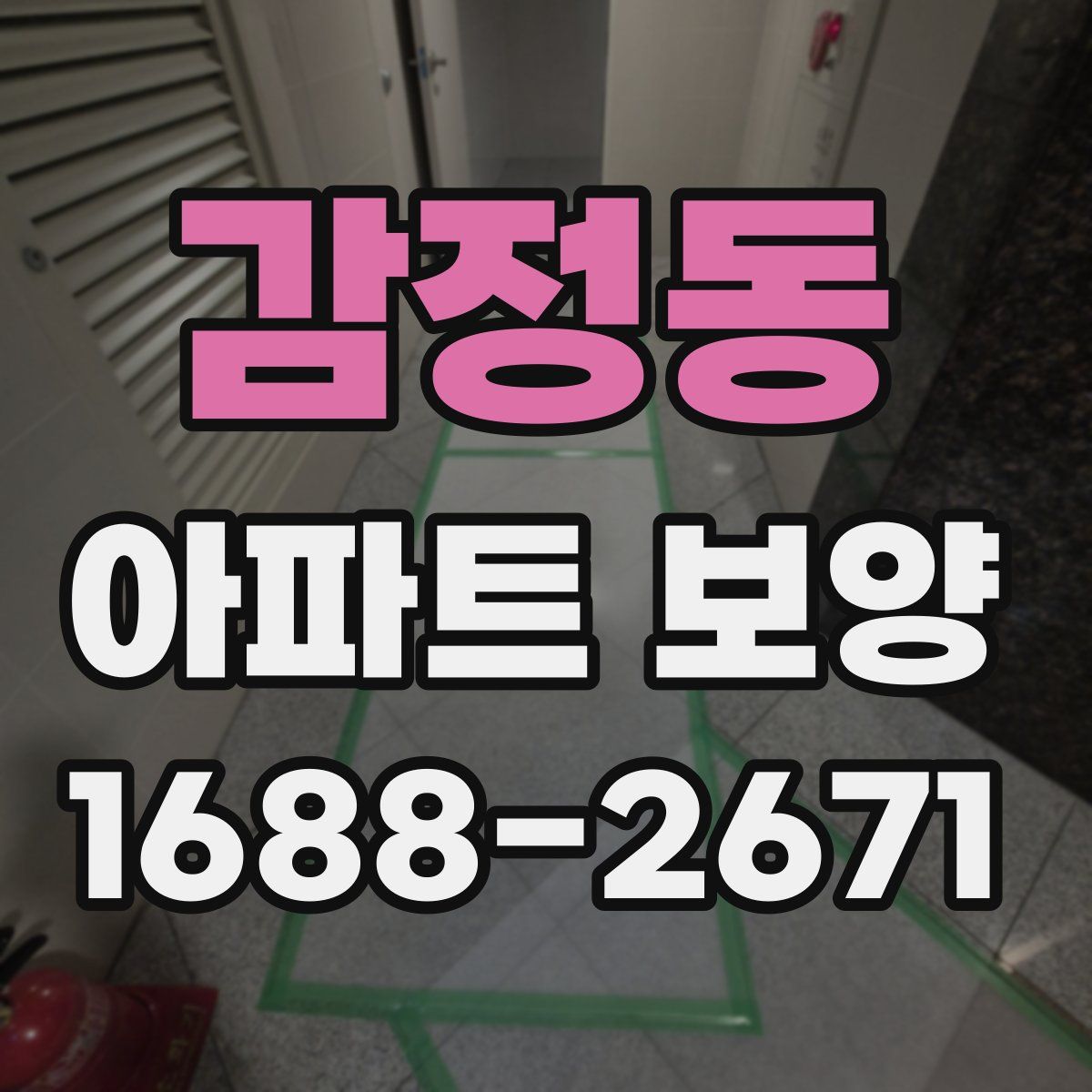 감정동 아파트 보양