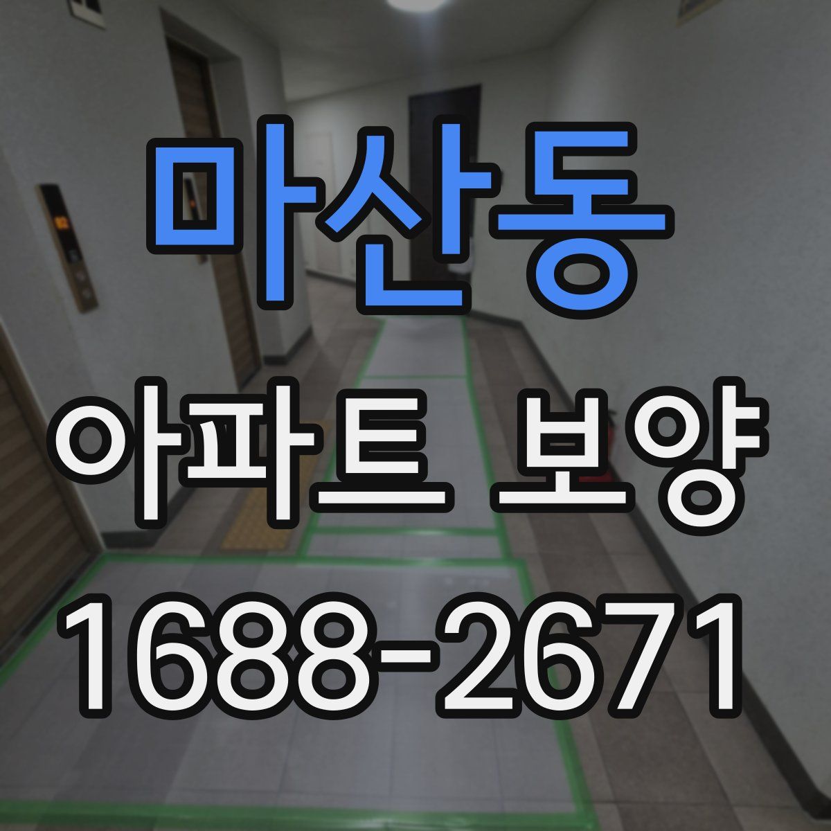 마산동 아파트 보양