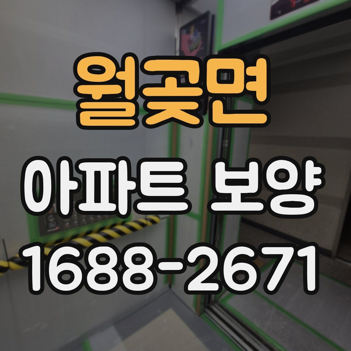 월곶면 아파트 보양 체크 포인트를 한눈에 정리