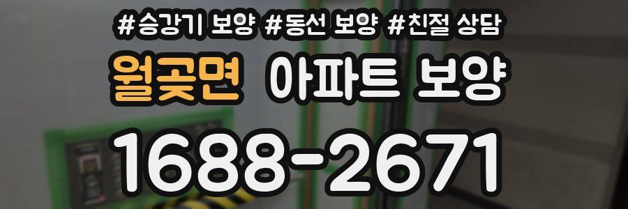 월곶면 아파트 보양