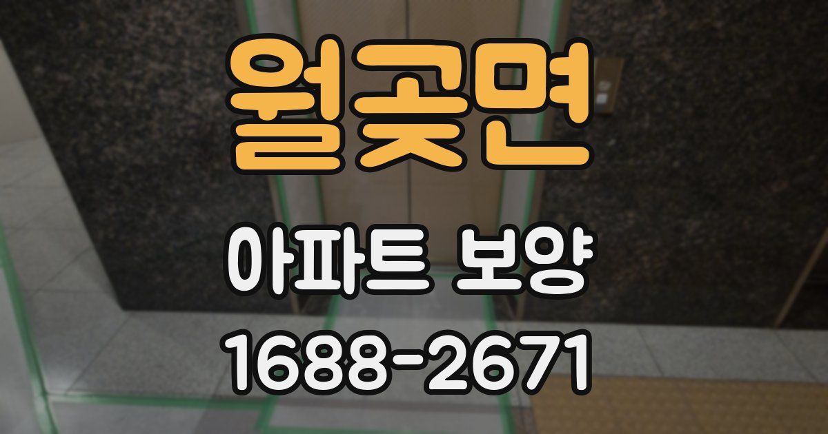 월곶면 아파트 보양
