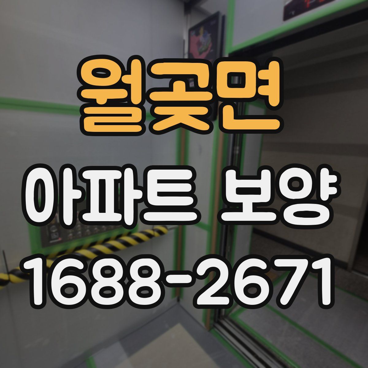 월곶면 아파트 보양