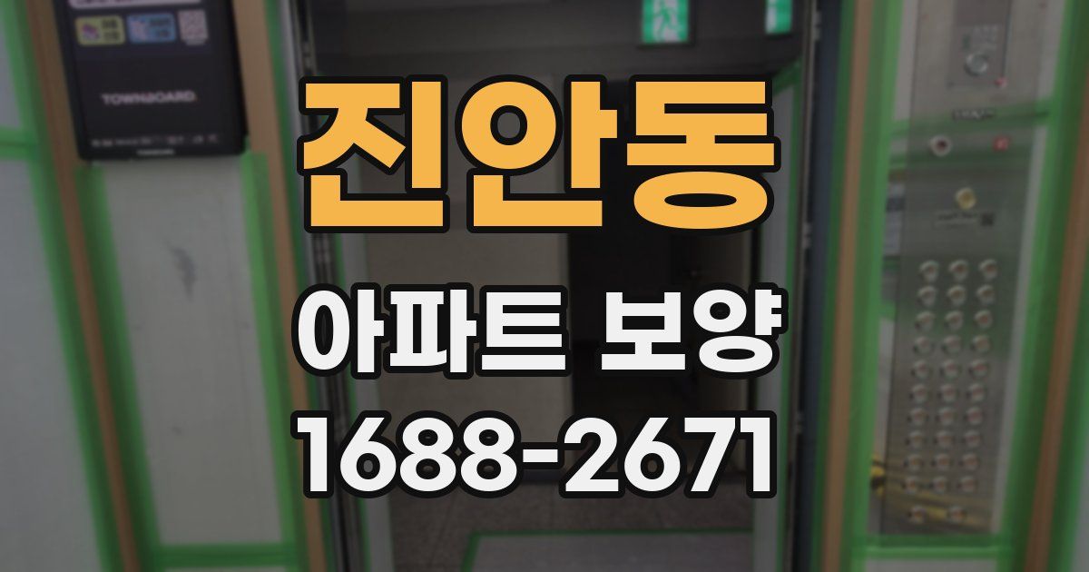 진안동 아파트 보양