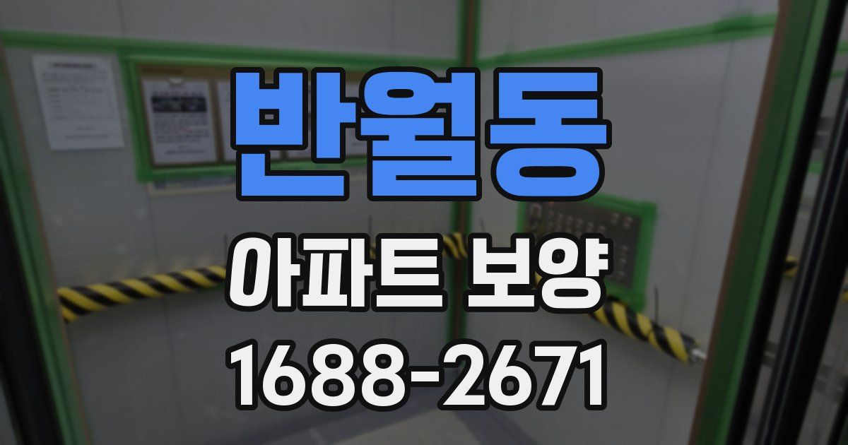반월동 아파트 보양