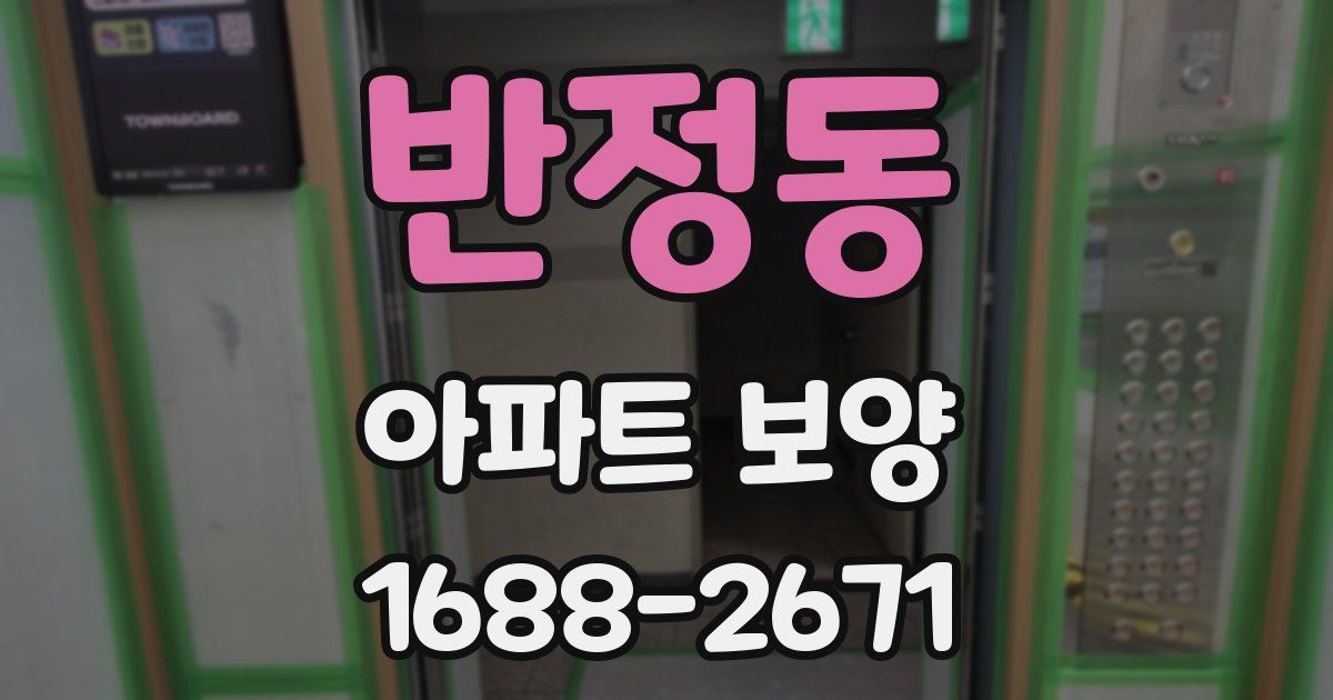 반정동 아파트 보양