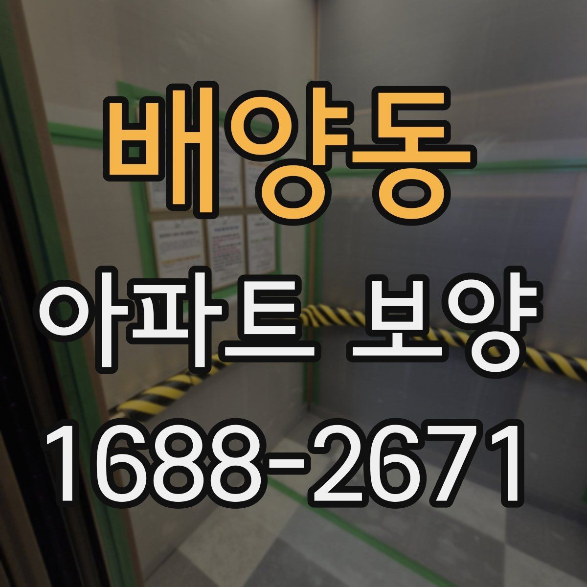 배양동 아파트 보양 작업을 효율적으로 진행하는 방법