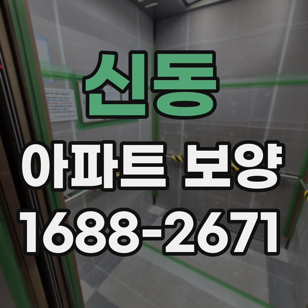 신동 아파트 보양