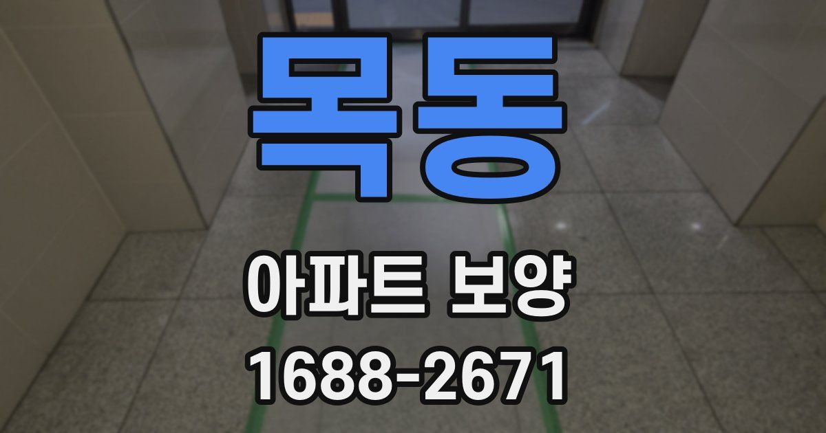 목동 아파트 보양