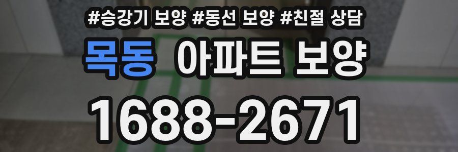 목동 아파트 보양