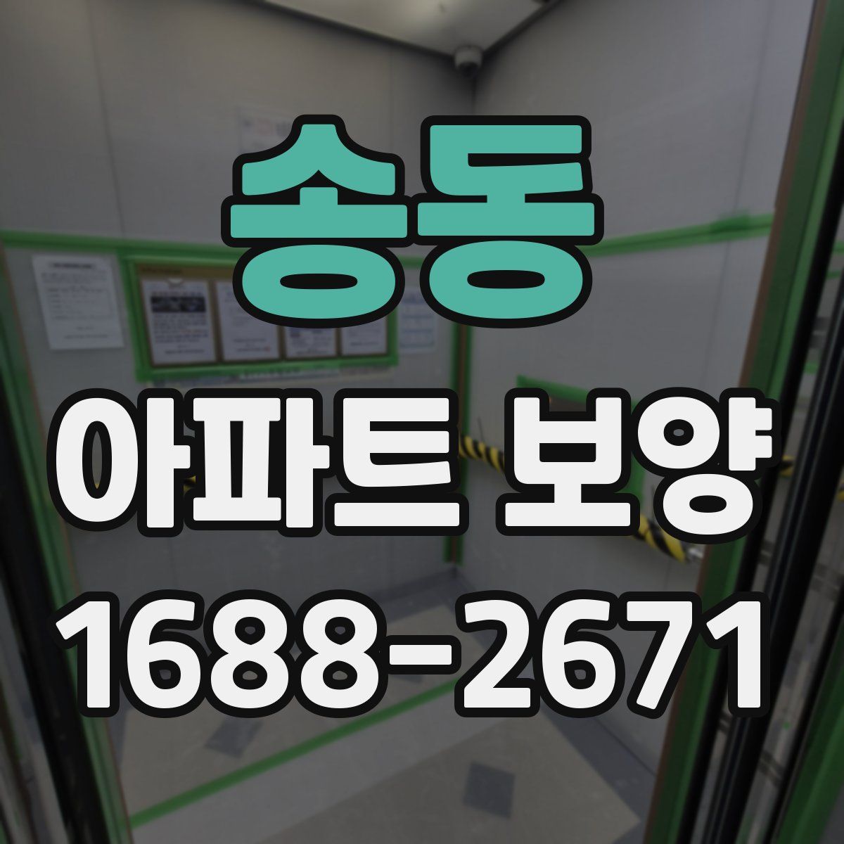 송동 아파트 보양