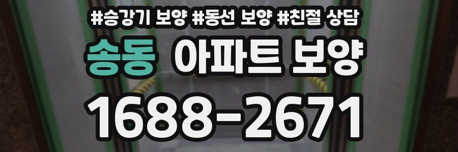 송동 아파트 보양