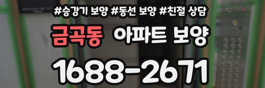 금곡동 아파트 보양