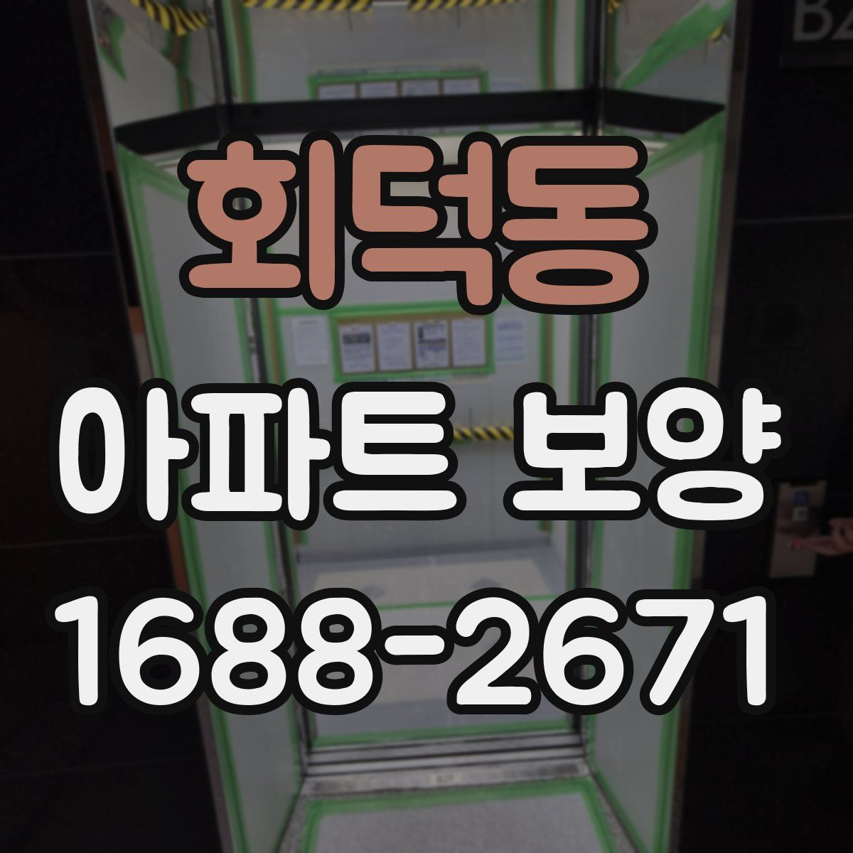 회덕동 아파트 보양